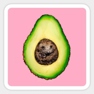 avocado surrealism Sticker